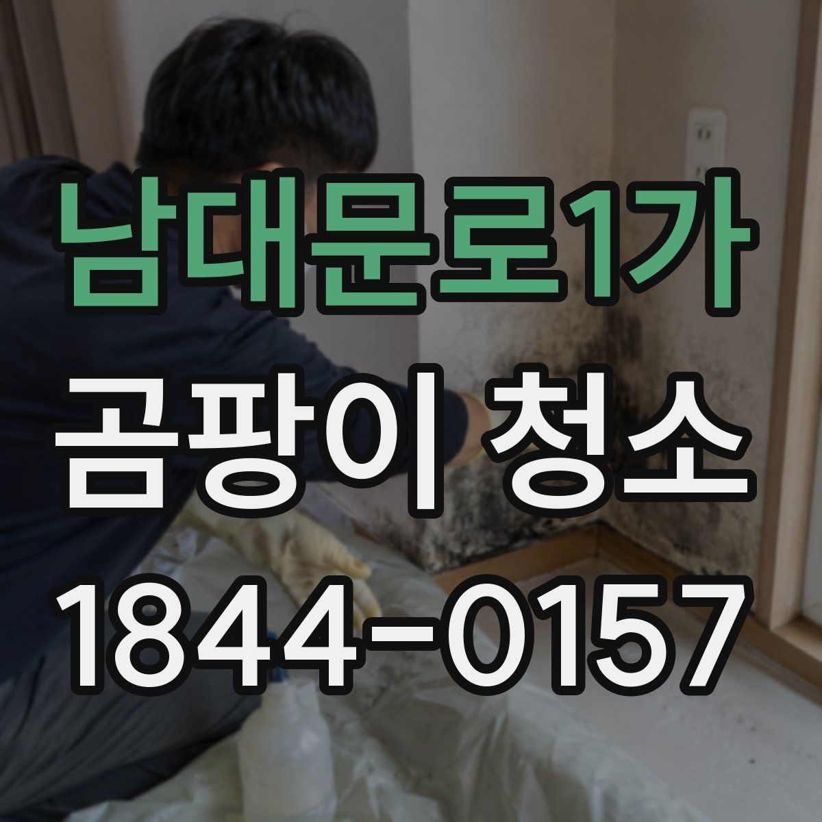 남대문로1가 곰팡이 청소