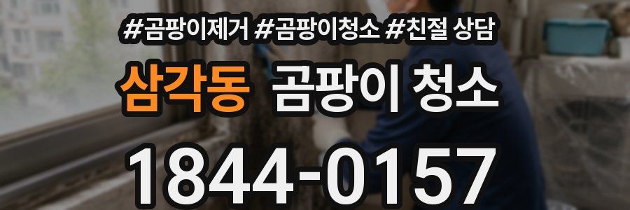 삼각동 곰팡이 청소