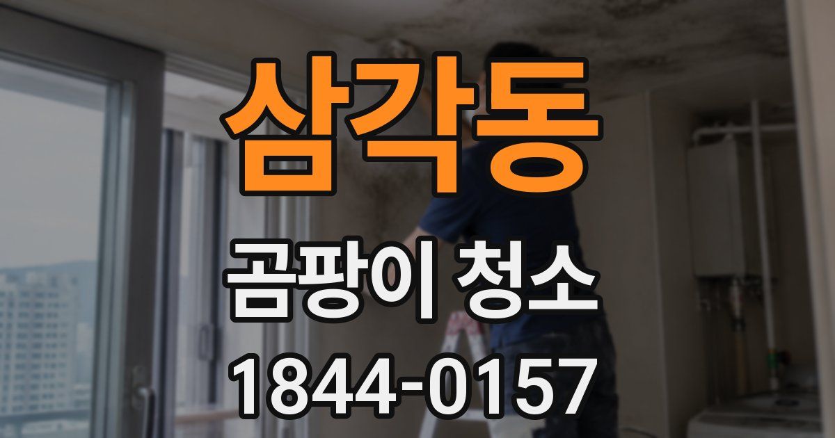 삼각동 곰팡이 청소