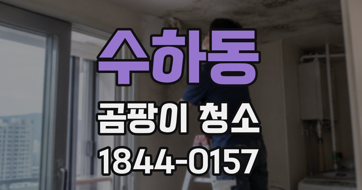 수하동 곰팡이 청소