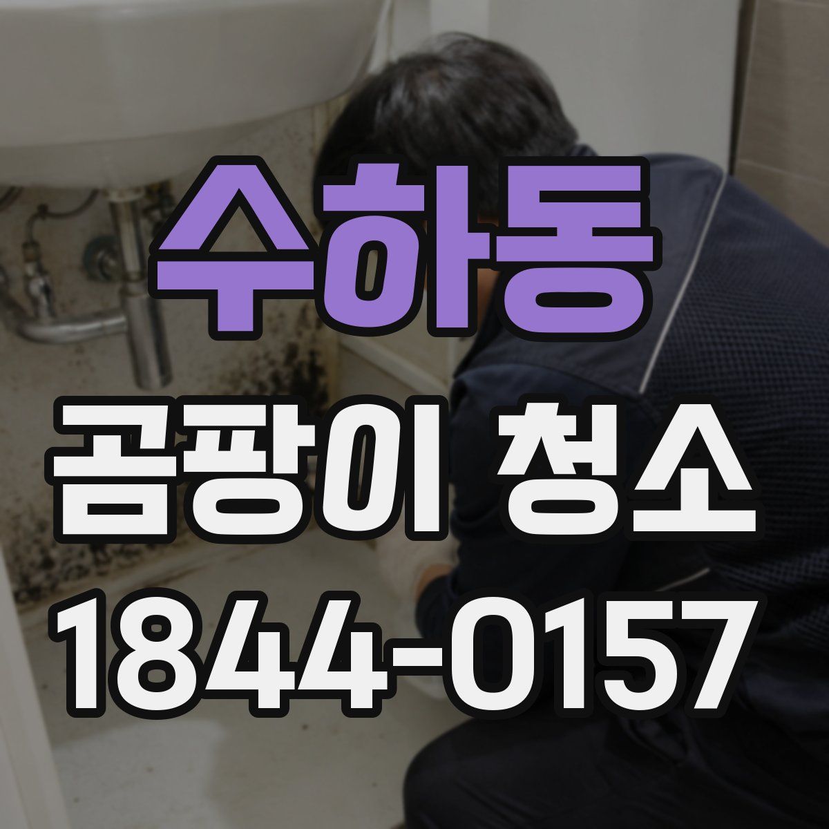 수하동 곰팡이 청소