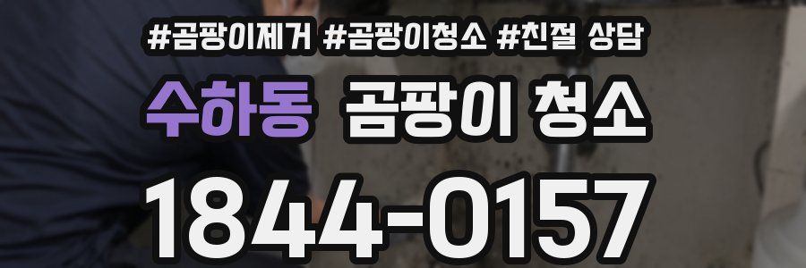 수하동 곰팡이 청소