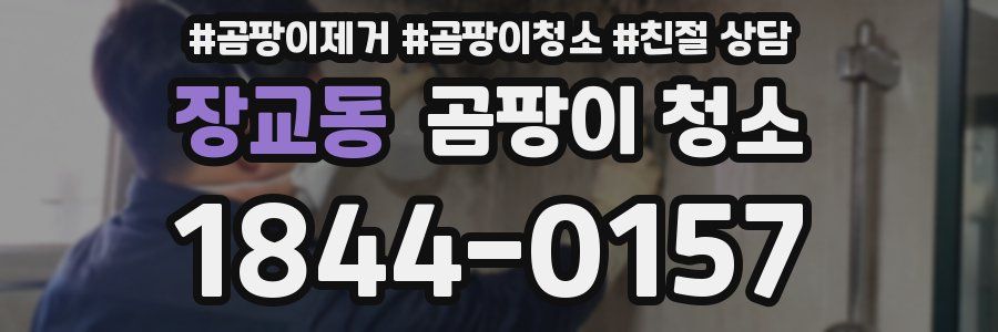장교동 곰팡이 청소