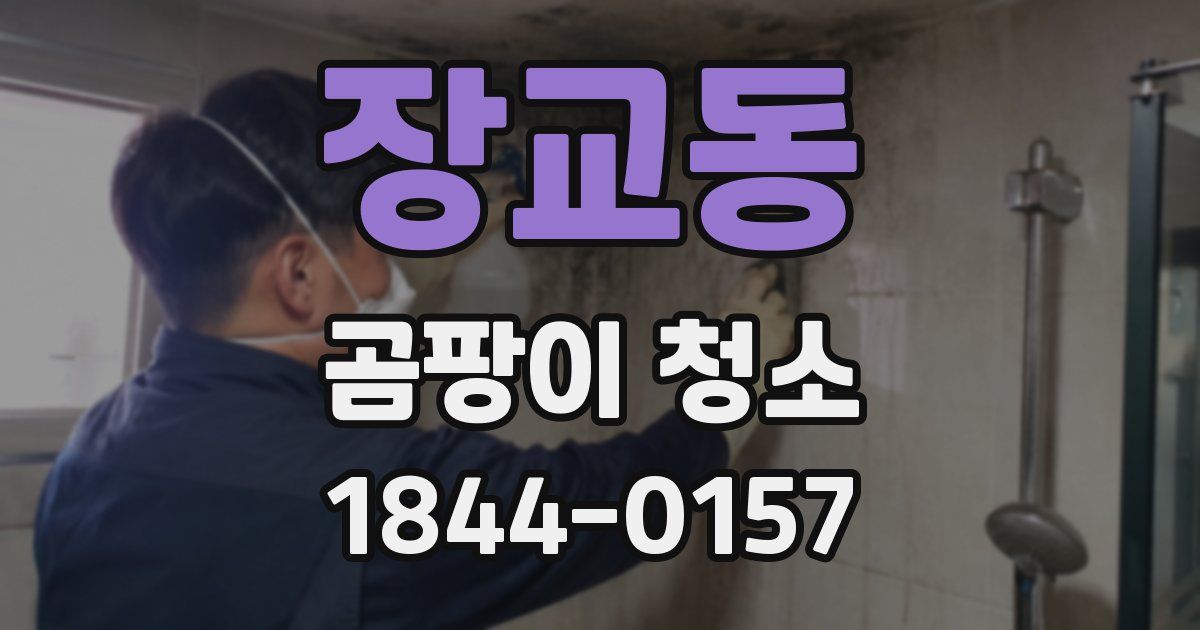 장교동 곰팡이 청소