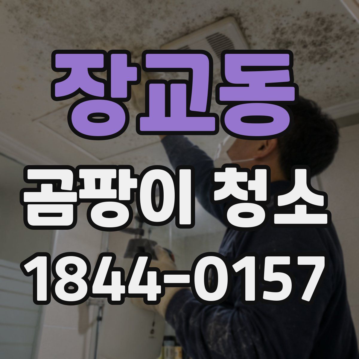 장교동 곰팡이 청소