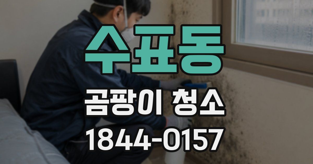 수표동 곰팡이 청소