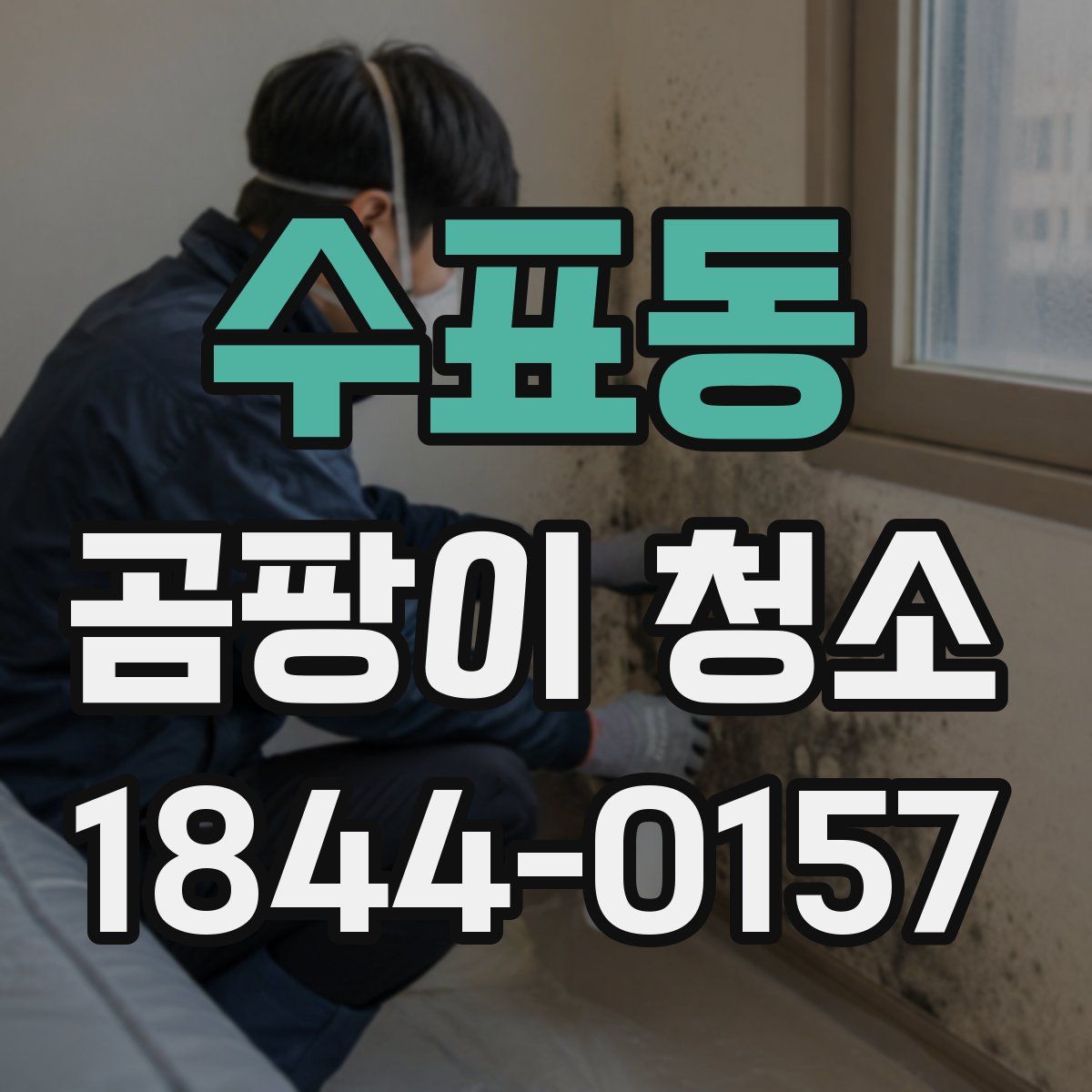 수표동 곰팡이 청소