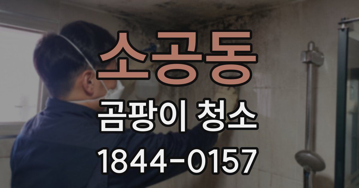 소공동 곰팡이 청소