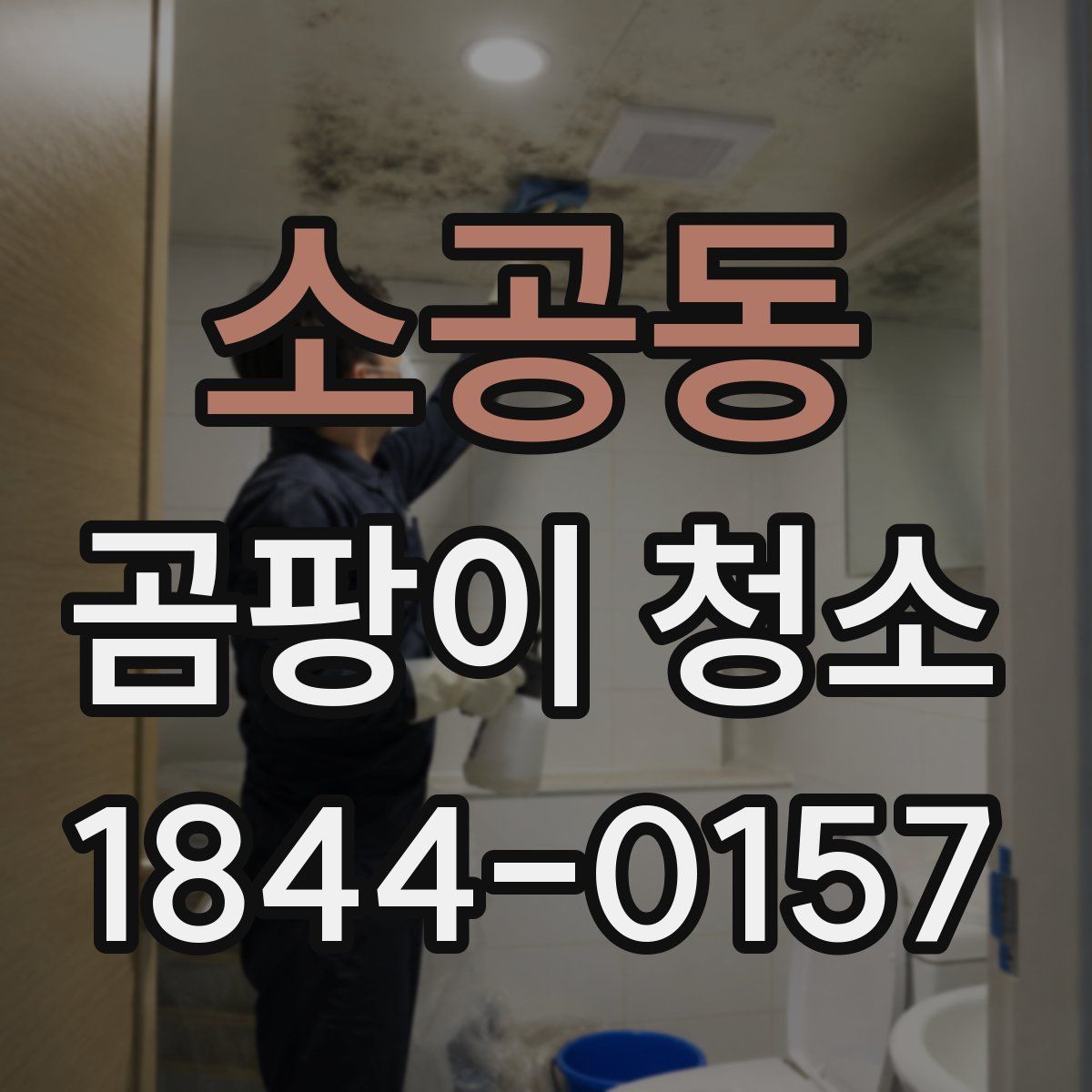 소공동 곰팡이 청소