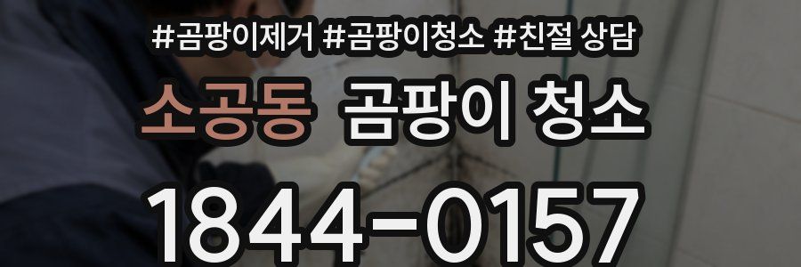 소공동 곰팡이 청소