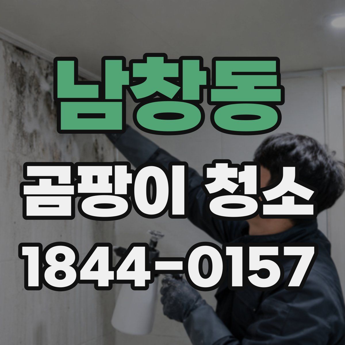 남창동 곰팡이 청소