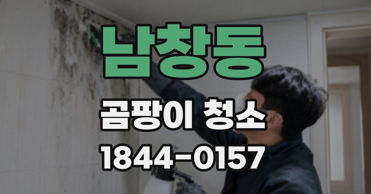 남창동 곰팡이 청소