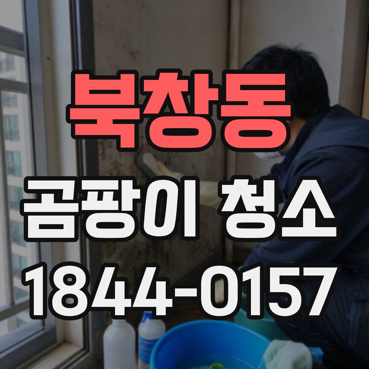 북창동 곰팡이 청소