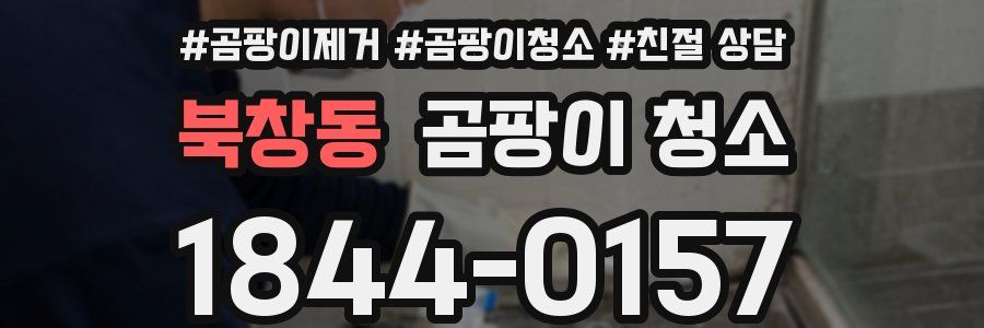 북창동 곰팡이 청소