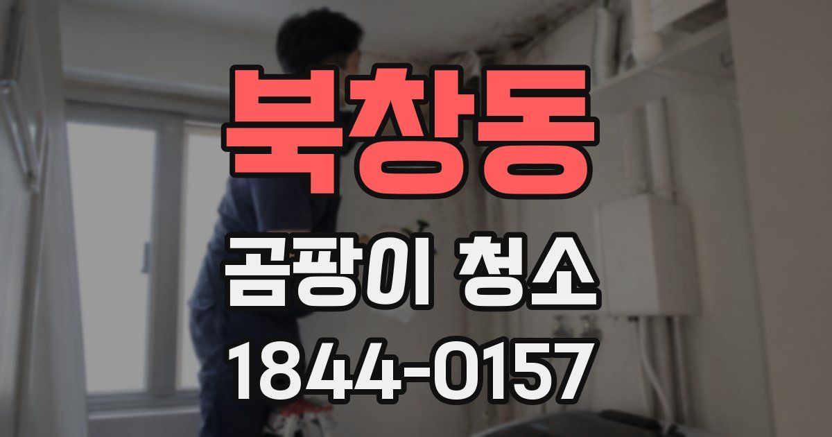북창동 곰팡이 청소
