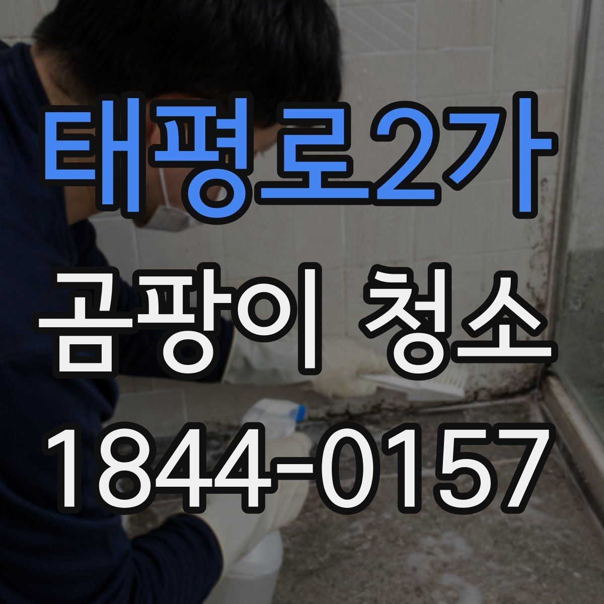 태평로2가 곰팡이 청소 업체와 셀프 청소의 차이