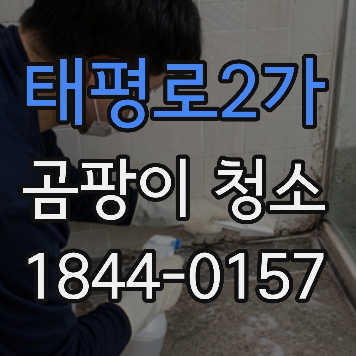 태평로2가 곰팡이 청소