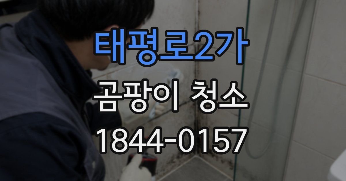 태평로2가 곰팡이 청소