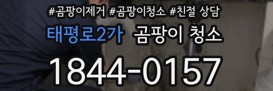 태평로2가 곰팡이 청소