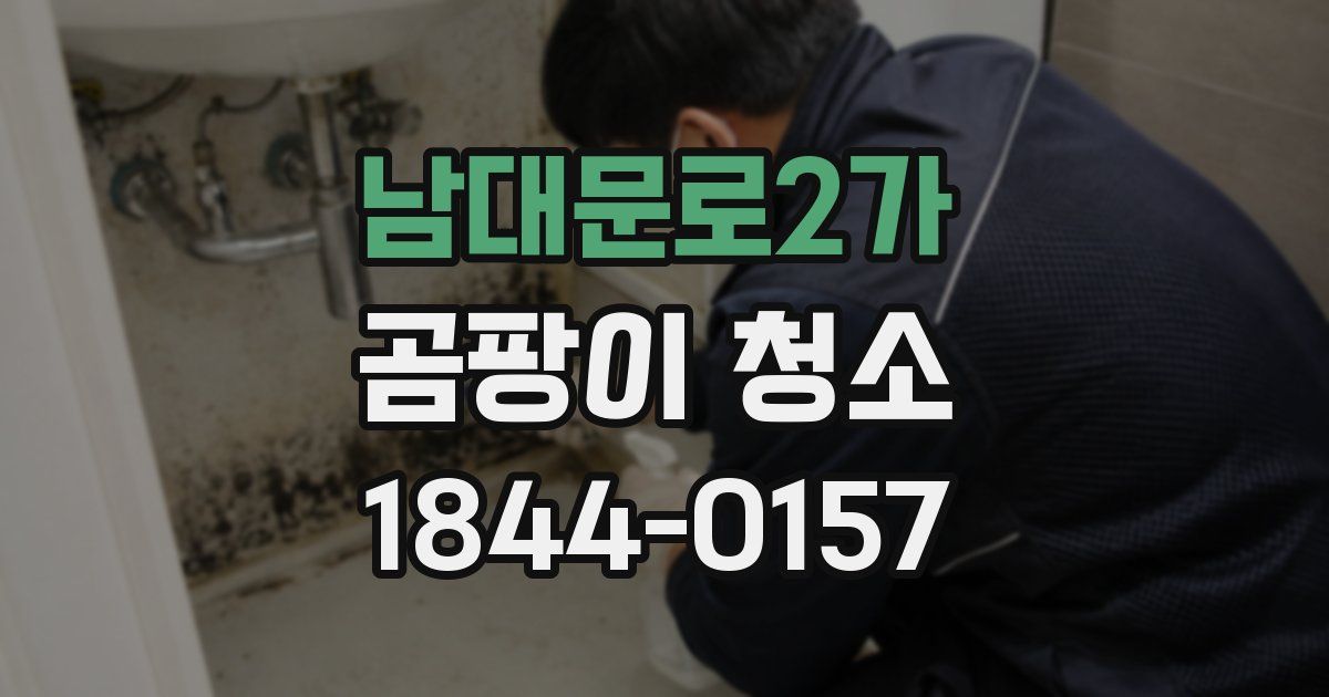 남대문로2가 곰팡이 청소