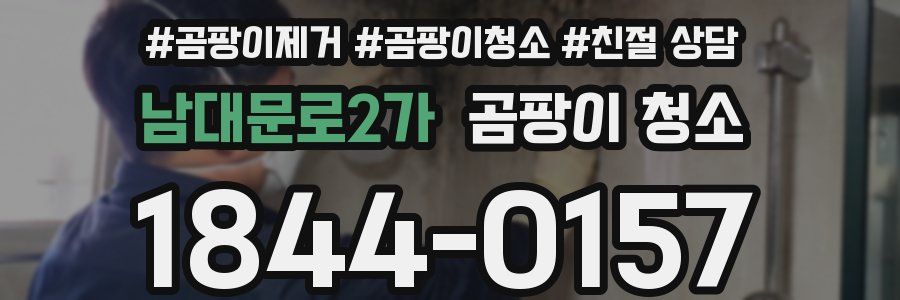 남대문로2가 곰팡이 청소