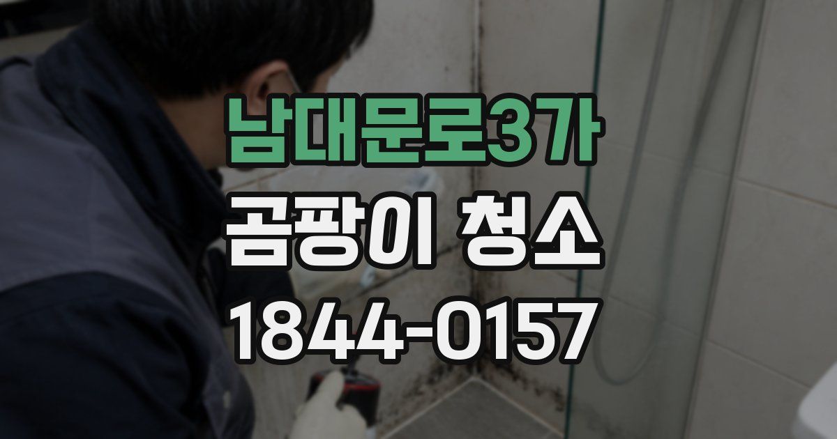남대문로3가 곰팡이 청소
