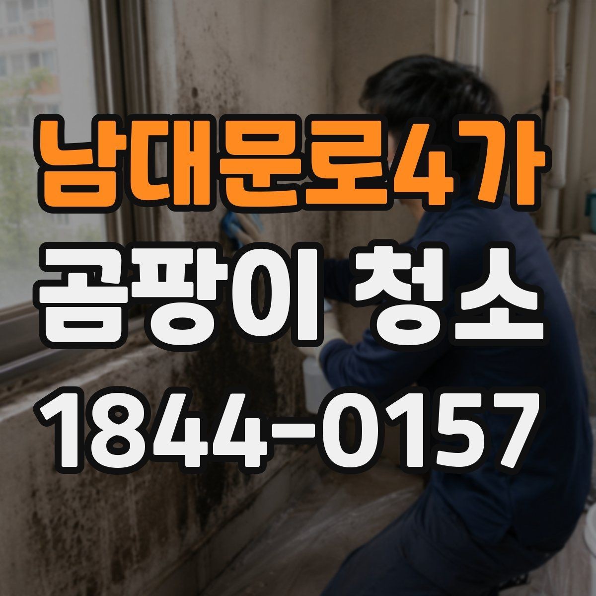 남대문로4가 곰팡이 청소 후 바로 해야 할 관리