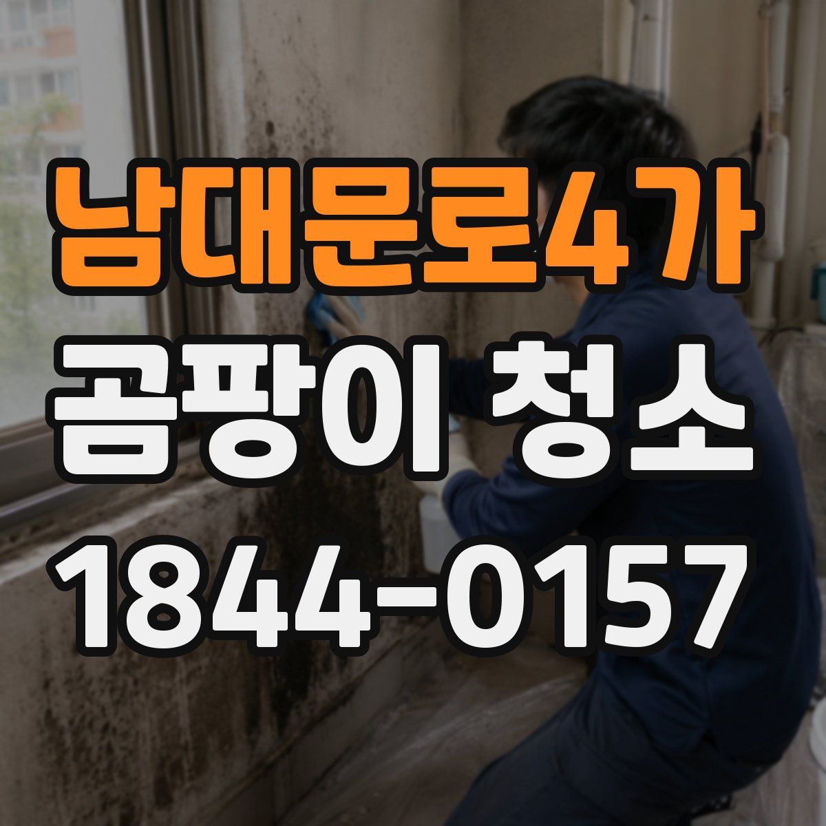 남대문로4가 곰팡이 청소