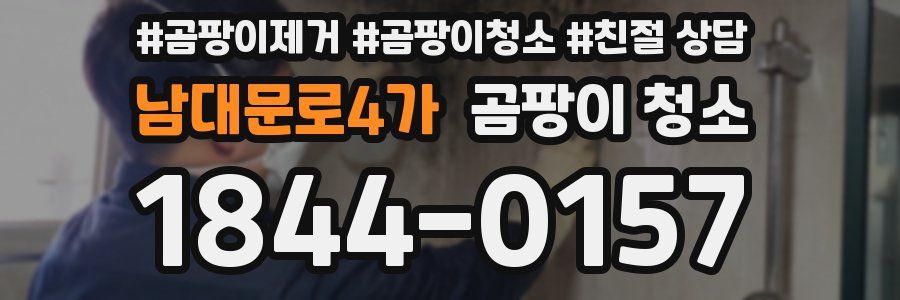 남대문로4가 곰팡이 청소