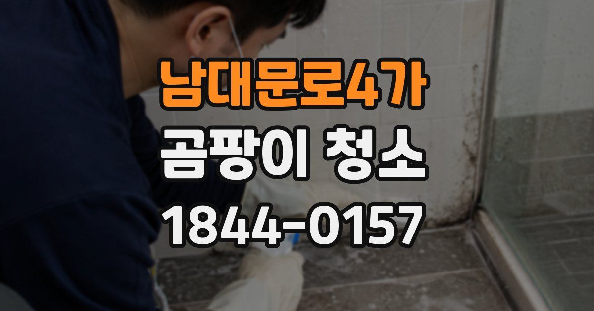 남대문로4가 곰팡이 청소