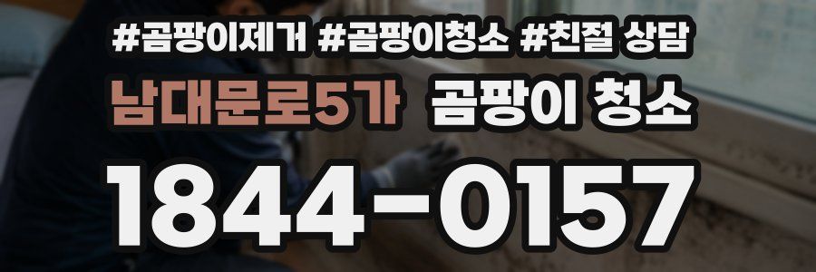 남대문로5가 곰팡이 청소