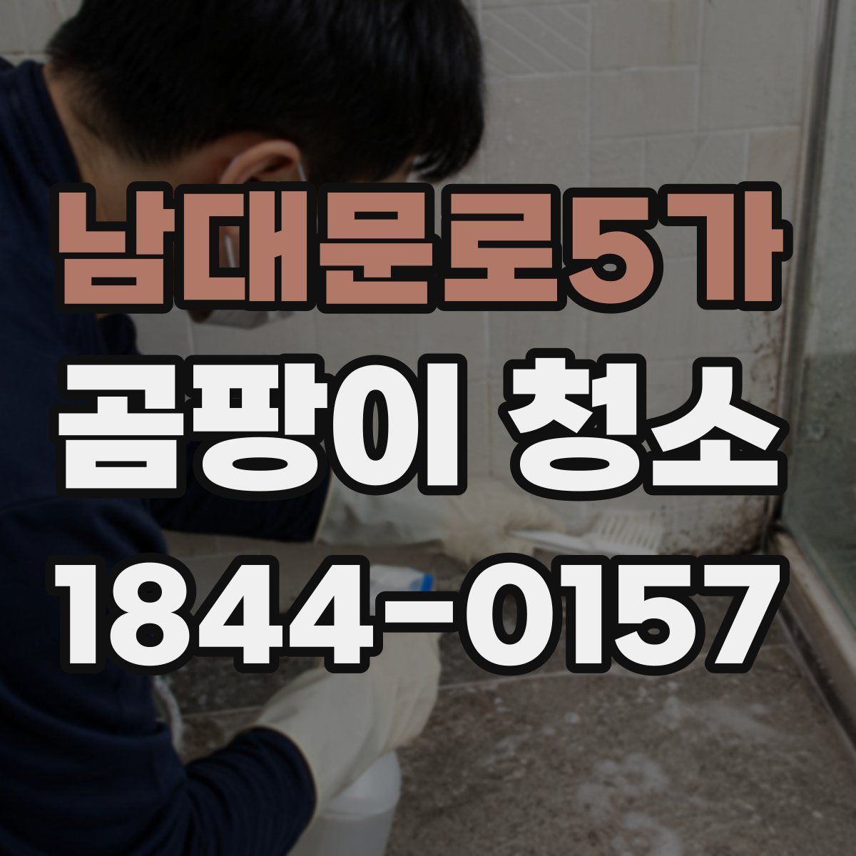 남대문로5가 곰팡이 청소