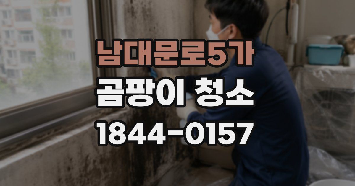 남대문로5가 곰팡이 청소