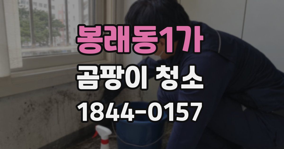 봉래동1가 곰팡이 청소