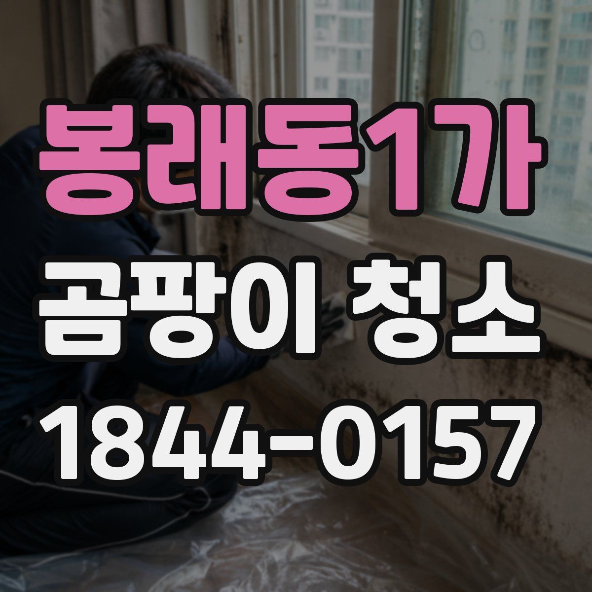 봉래동1가 곰팡이 청소
