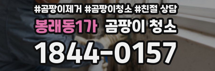 봉래동1가 곰팡이 청소