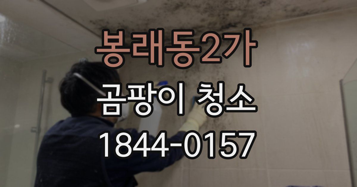봉래동2가 곰팡이 청소