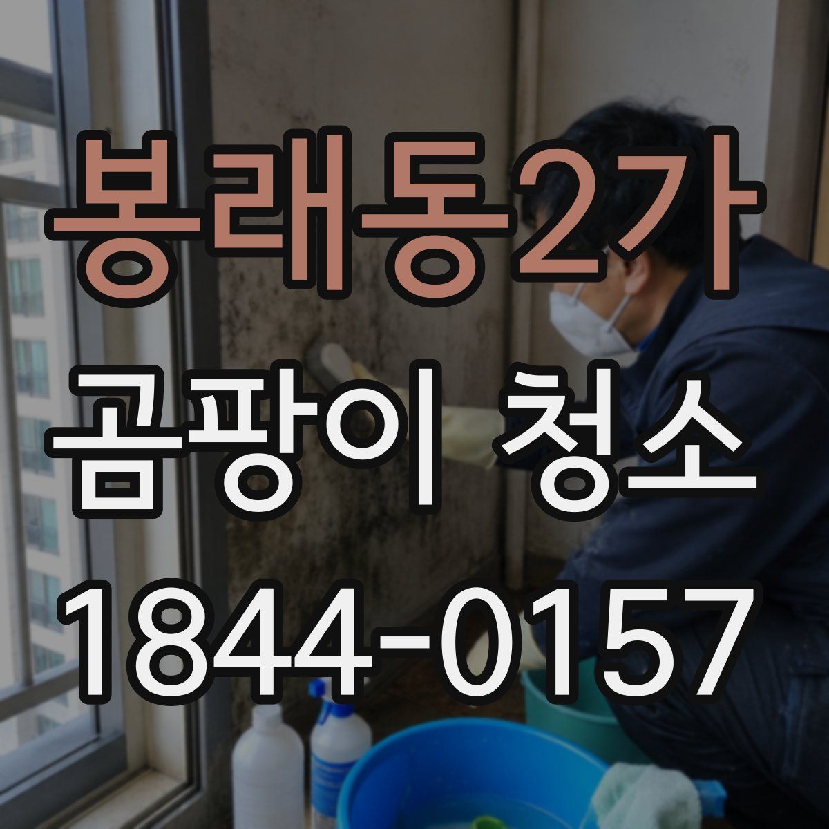 봉래동2가 곰팡이 청소