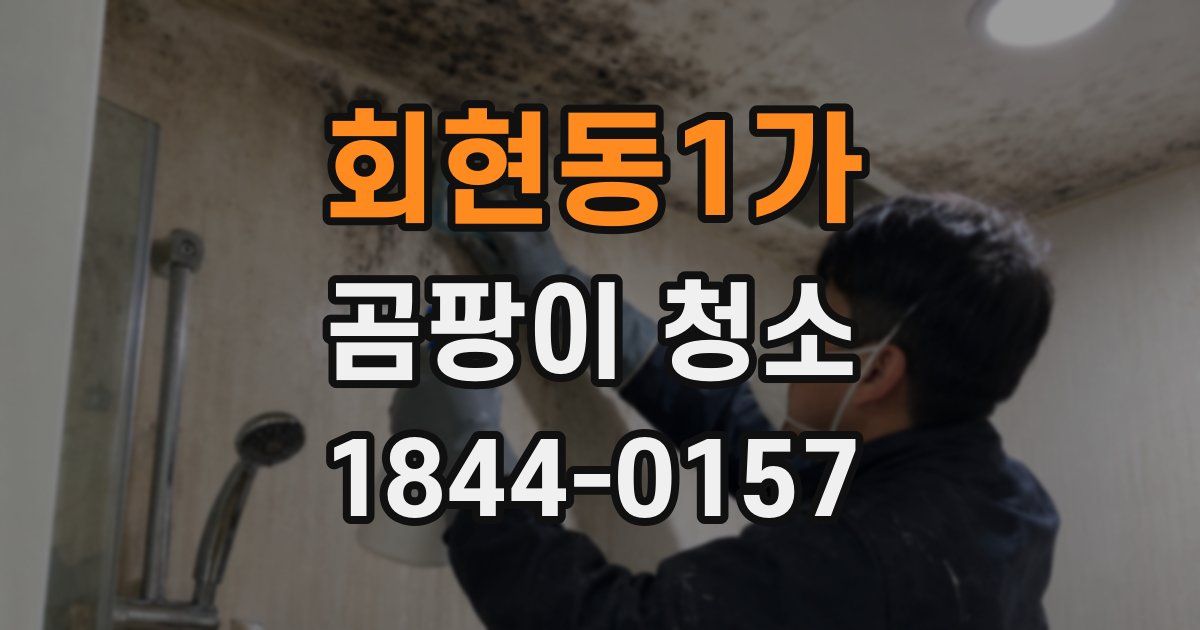 회현동1가 곰팡이 청소