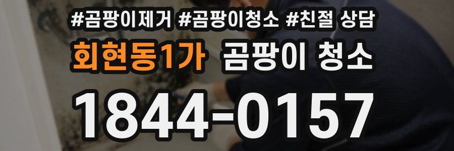 회현동1가 곰팡이 청소