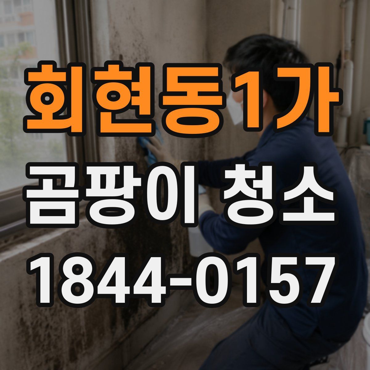 회현동1가 곰팡이 청소