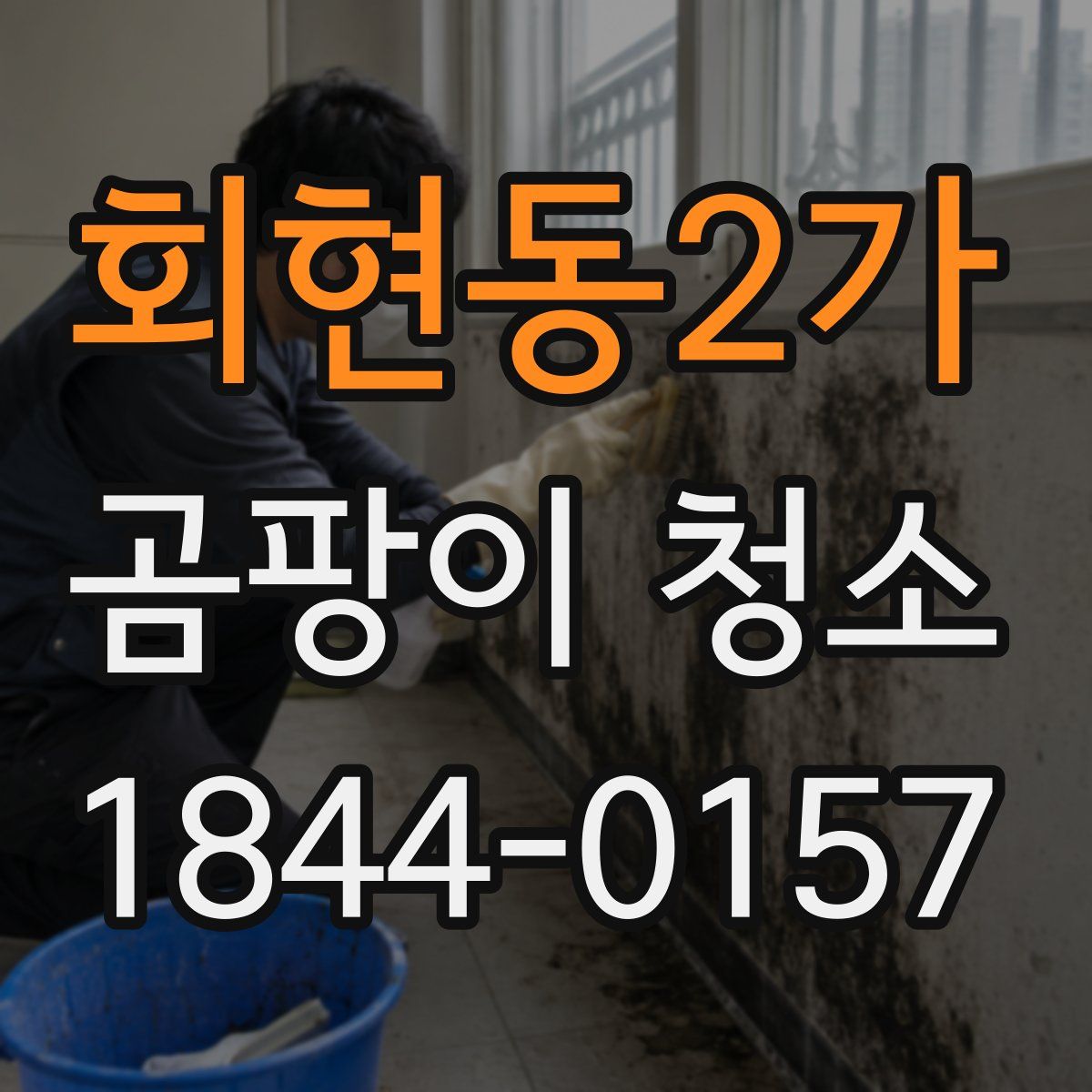 회현동2가 곰팡이 청소