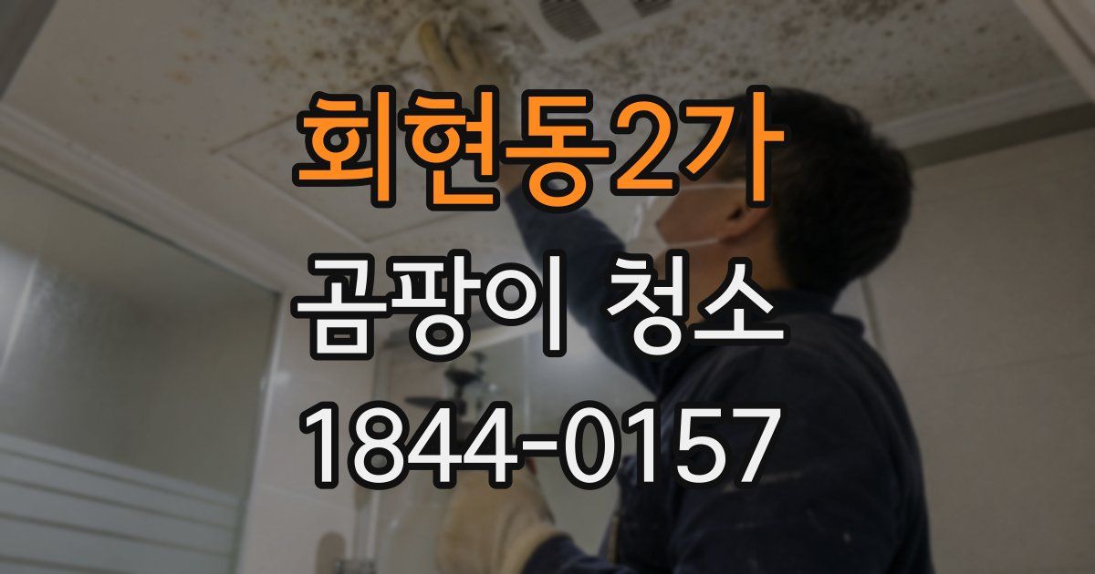 회현동2가 곰팡이 청소