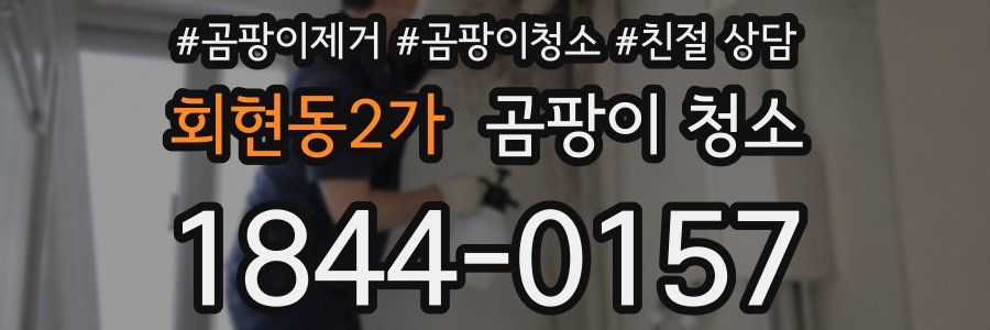 회현동2가 곰팡이 청소