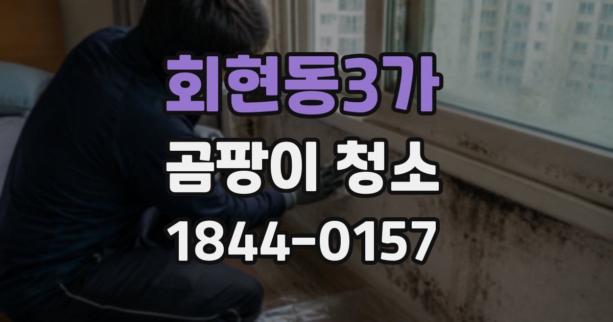 회현동3가 곰팡이 청소