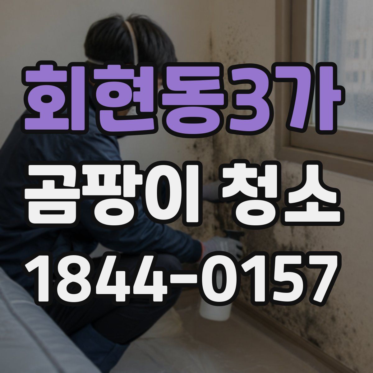 회현동3가 곰팡이 청소