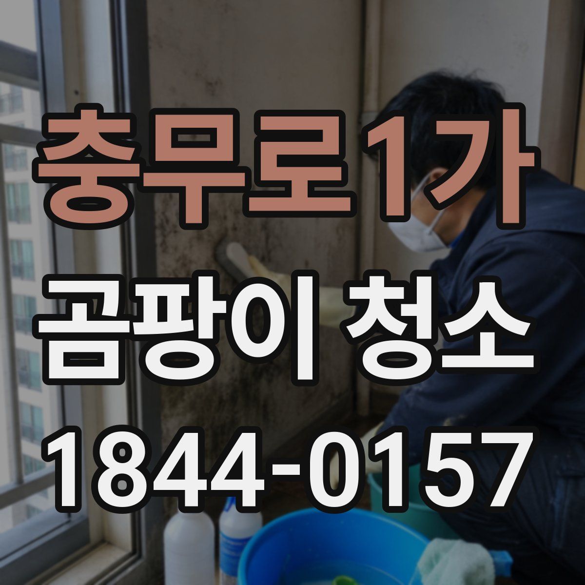 충무로1가 곰팡이 청소