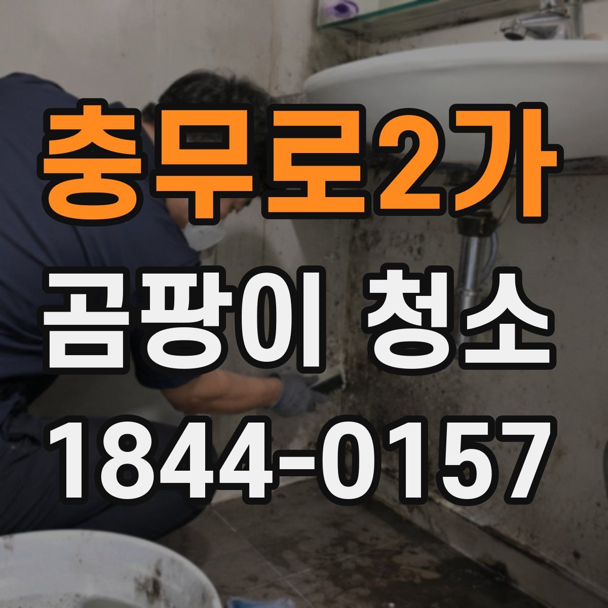충무로2가 곰팡이 청소