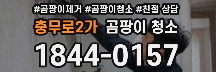 충무로2가 곰팡이 청소