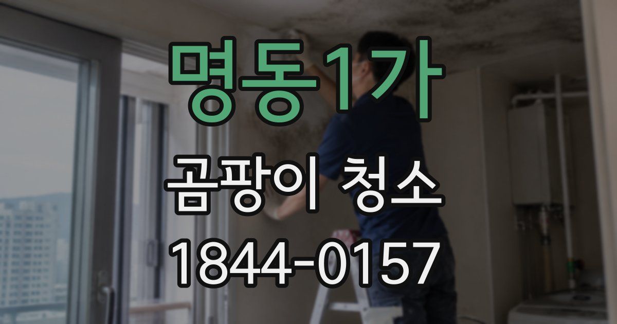 명동1가 곰팡이 청소